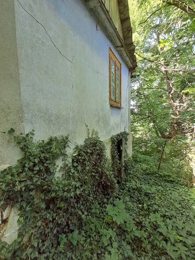 Gm. Rybczewice - Częstoborowice -siedlisko - 20ar - 3