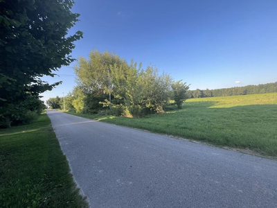 Duża działka 2,9 ha w Jabłonowie gm. Policzna. - 5