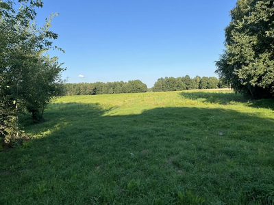 Duża działka 2,9 ha w Jabłonowie gm. Policzna. - 4