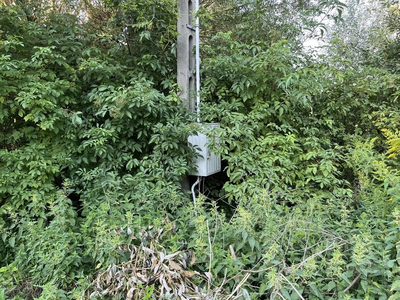 Duża działka 2,9 ha w Jabłonowie gm. Policzna. - 3