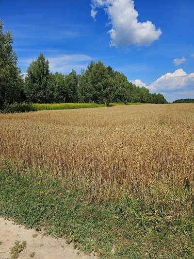 Karczmiska Drugie - ponad 33ar działki rolnej - 4