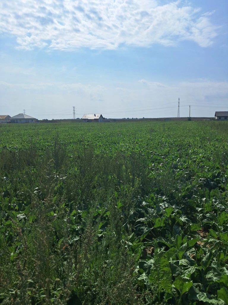 Uzbrojona działka. Gm. Puchaczów - 100639709.jpg