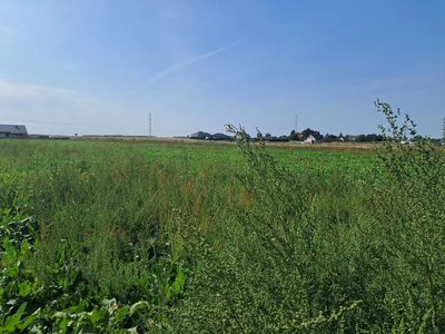 Działka budowalna 16a - Gm. Puchaczów - Turowola. - 5