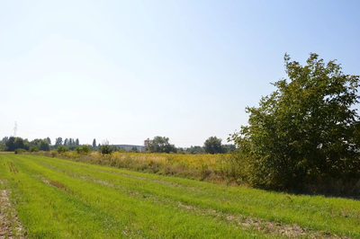 Działka Lublin-Zadębie inwestycyjna/budowlana - 4