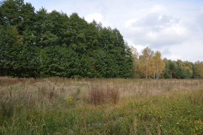 Działka, Klarów, 1,09 ha - 4