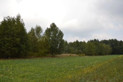 Działka 1.77 ha w Brzeźnicy Leśnej pow. Lubartów. - 2