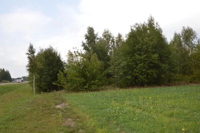 Działka 1.77 ha w Brzeźnicy Leśnej pow. Lubartów. - 4