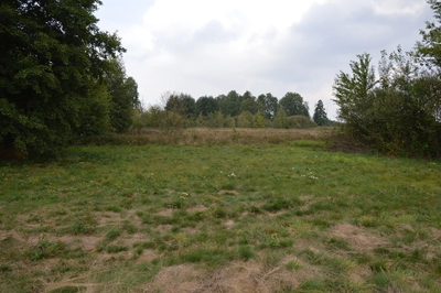Działka 1.77 ha w Brzeźnicy Leśnej pow. Lubartów. - 5