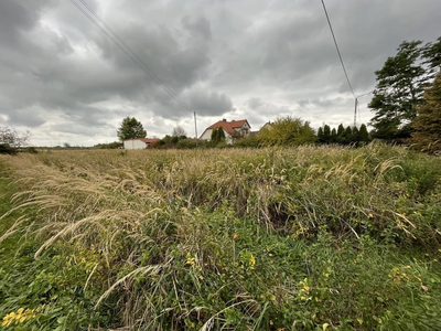 Działka budowlano-usługowa w Końskowoli gm. Puławy - 4
