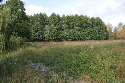 Piękna działka w Parku Krajobrazowym - 2