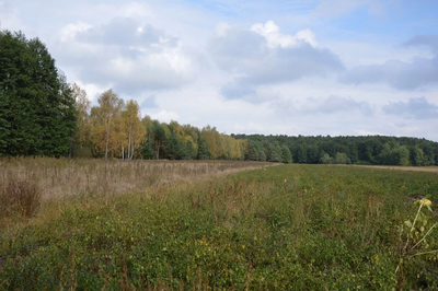 Piękna działka w Parku Krajobrazowym - 4