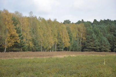 Piękna działka w Parku Krajobrazowym - 3