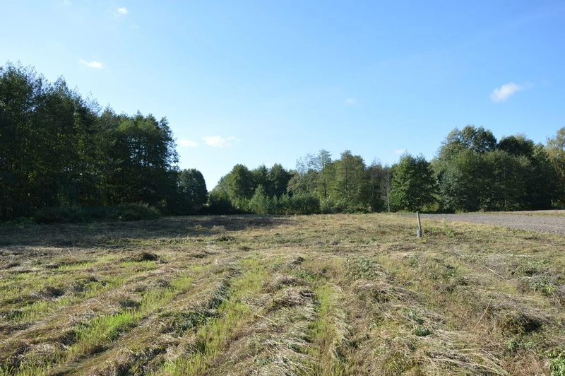 Działka Baranówka 21 a, tylko 76 zł/m2! - 101510940.jpg
