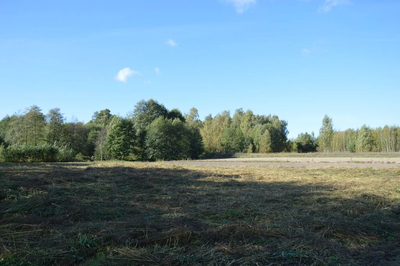 Działka Baranówka 21 a, tylko 76 zł/m2! - 4