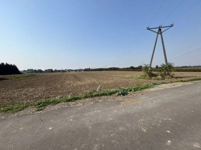 Działka rolno-budowlana 0,62 ha w Gołębiu k/Puław. - 2