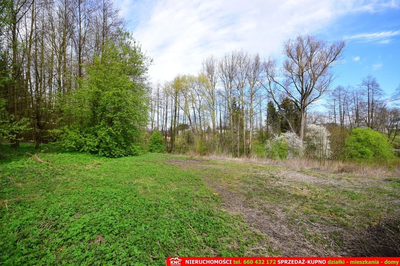 Działka o pow. 3115 m², blisko szkoła, MPK. - 4