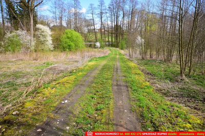 Działka o pow. 3115 m², blisko szkoła, MPK. - 3