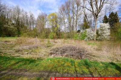 Działka o pow. 3115 m², blisko szkoła, MPK. - 5
