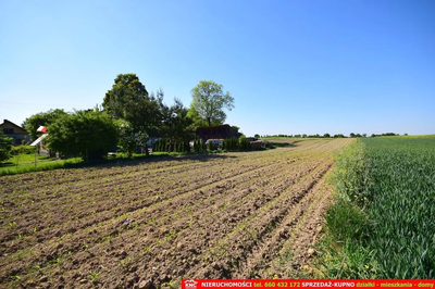 Działka rolno-budowlana bezpośrednio przy lesie. - 2