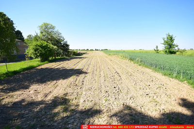 Działka rolno-budowlana bezpośrednio przy lesie. - 4
