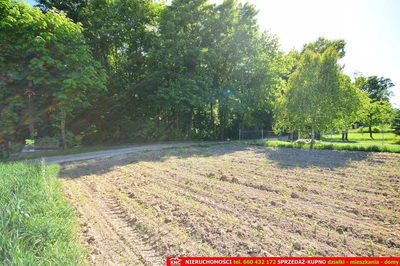 Działka rolno-budowlana bezpośrednio przy lesie. - 3
