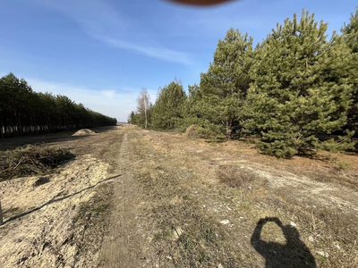 Działka z WZ w Wólce Gonciarskiej gm. Kazanów. - 5