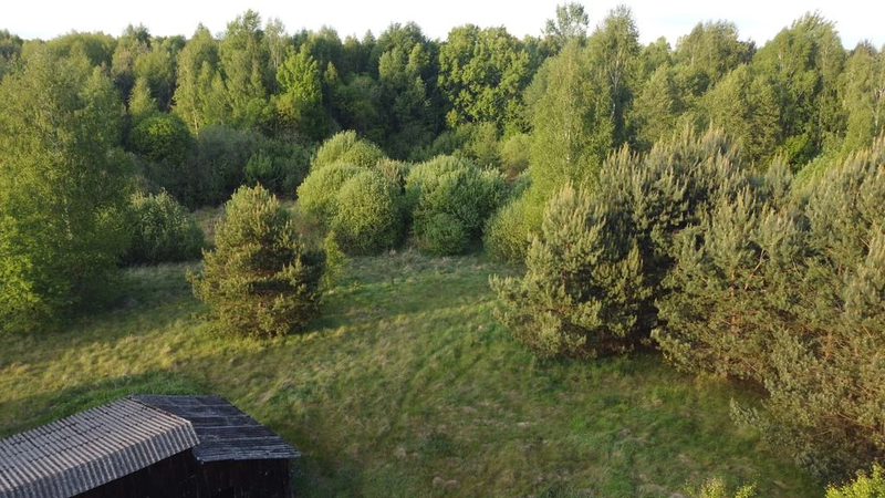 Nietypowa działka 2 ha w Kawęczynie gm. Ciepielów - 109108594.jpg
