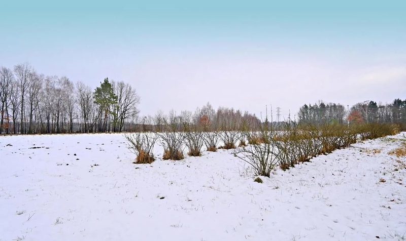 Działka pod Kazimierzem-16ar spokojna okolica!! - 104230608.jpg