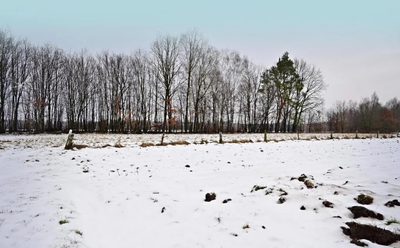 Działka pod Kazimierzem-16ar spokojna okolica!! - 4