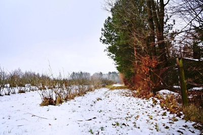 Działka pod Kazimierzem-16ar spokojna okolica!! - 5