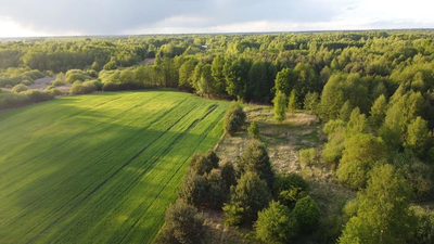 Działka o  pow. 1,63 ha w Karolowie gm. Chotcza. - 3
