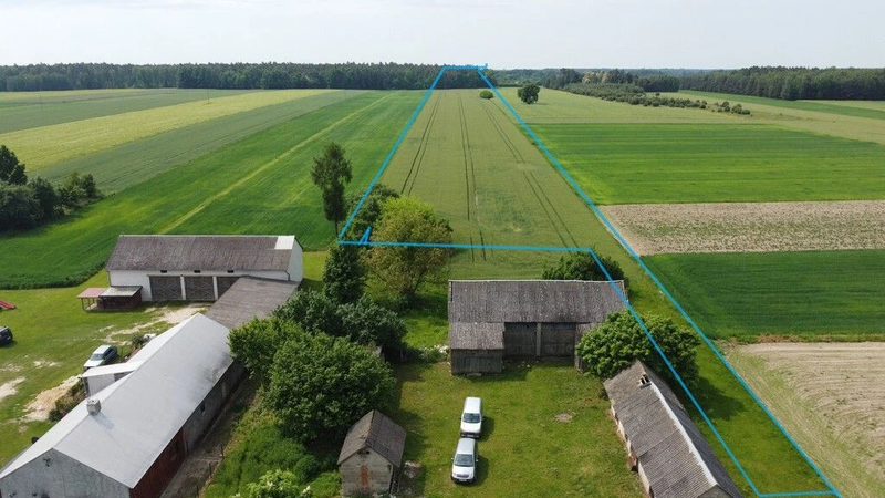 Działka rolna 3 ha w Jasieńcu Soleckim (zwoleński) - 106088903.jpg