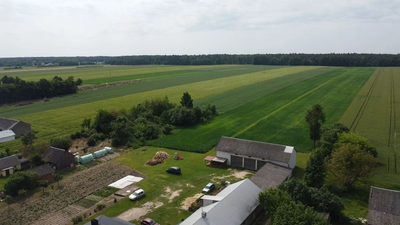 Działka rolna 3 ha w Jasieńcu Soleckim (zwoleński) - 3