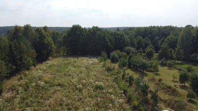 Działka z MPZP 0,54 ha w Bronowicach gm. Puławy.. - 4