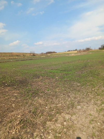 Jakubowice Murowane, gm. Wólka-działka 6600m2