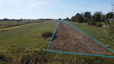 Działka budowlana 0.55 ha Sielce gm. Końskowola