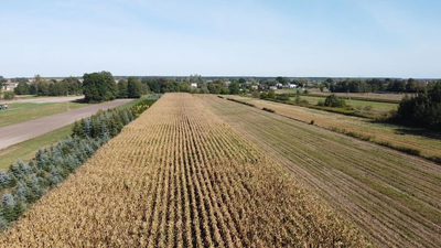 Działka budowlana 0.55 ha Sielce gm. Końskowola - 5