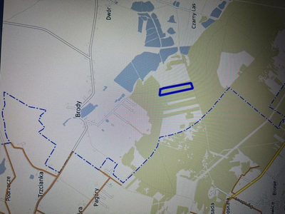 Działka leśna 3,90 ha w Brodach  gm. Pierzchnica. - 4