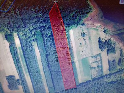 Działka leśna 3,90 ha w Brodach  gm. Pierzchnica. - 2