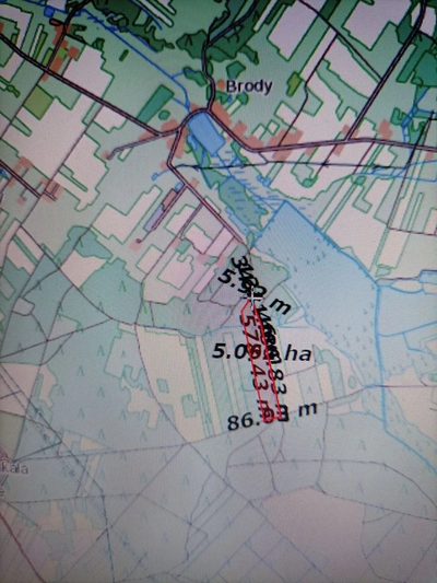 Działka leśna 3,90 ha w Brodach  gm. Pierzchnica. - 3