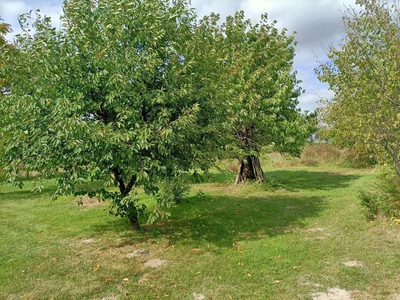 Działka 4017 m2 budowlana Leokadiów gm. Puławy. - 5