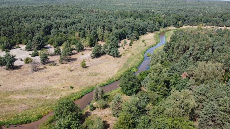 Działka 800 m2 w Woli Chodkowskiej Warszawa 85 km. - 108772593.jpg