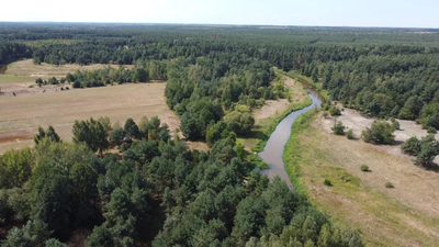 Działka 800 m2 w Woli Chodkowskiej Warszawa 85 km. - 3