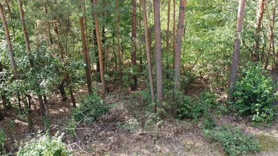 Działka 800 m2 w Woli Chodkowskiej Warszawa 85 km. - 5