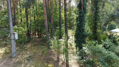Działka 800 m2 w Woli Chodkowskiej Warszawa 85 km. - 4