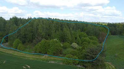 Działka 2,15 ha z potencjałem koło Nałęczowa. - 2
