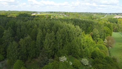 Działka 2,15 ha z potencjałem koło Nałęczowa. - 5