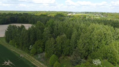 Działka 2,15 ha z potencjałem koło Nałęczowa. - 4