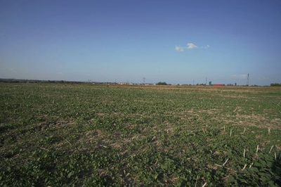 Działka 0,82ha U/MN Wólka gm. Długie pod Lublinem.