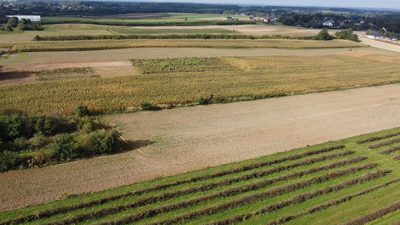 Działka, Motycz, 8.5ar, budownictwo jednorodzinne - 2